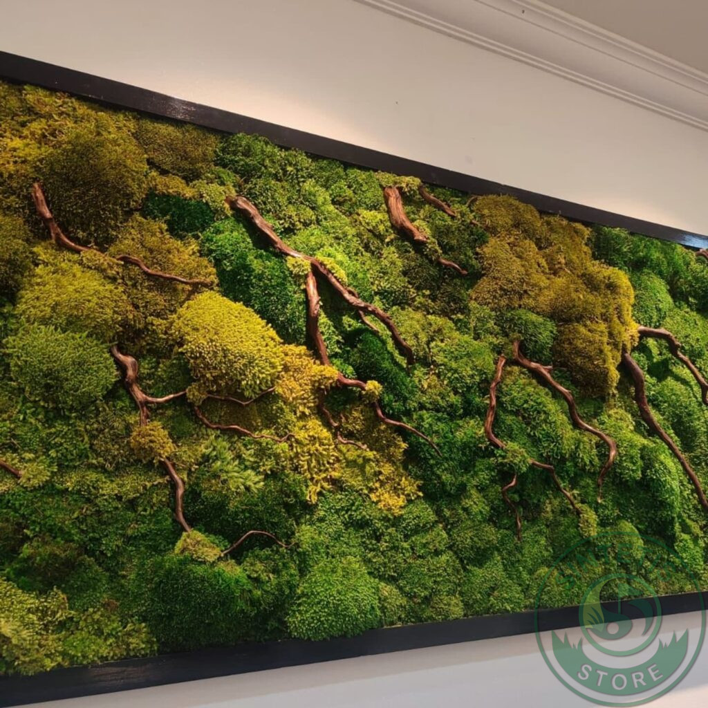 8a584c6e 251a 4fdf ab99 c0e78c7481ee