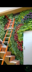 Home 0bb165b6 7aeb 4a00 a270 f70580181f37