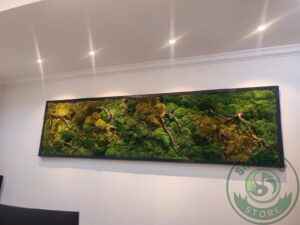 Home 3ae84614 dd58 4918 9168 0f95dca9765c