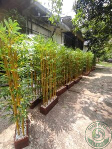 Home 86a93e06 09ed 4f84 934f a22bbaf31caf