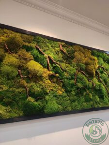 Home whatsapp image 2025 11 23 at 13.38.50 (2)