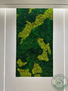 Home b5bad5d8 5d71 4b3c 8b87 e65744abeec3